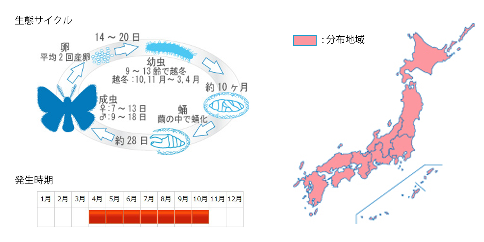 ドクガ 害虫駆除や衛生管理の株式会社環境コントロールセンター