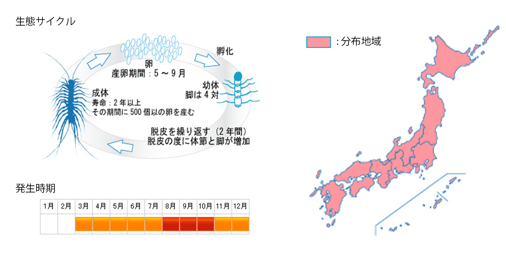 ゲジ 害虫駆除や衛生管理の株式会社環境コントロールセンター