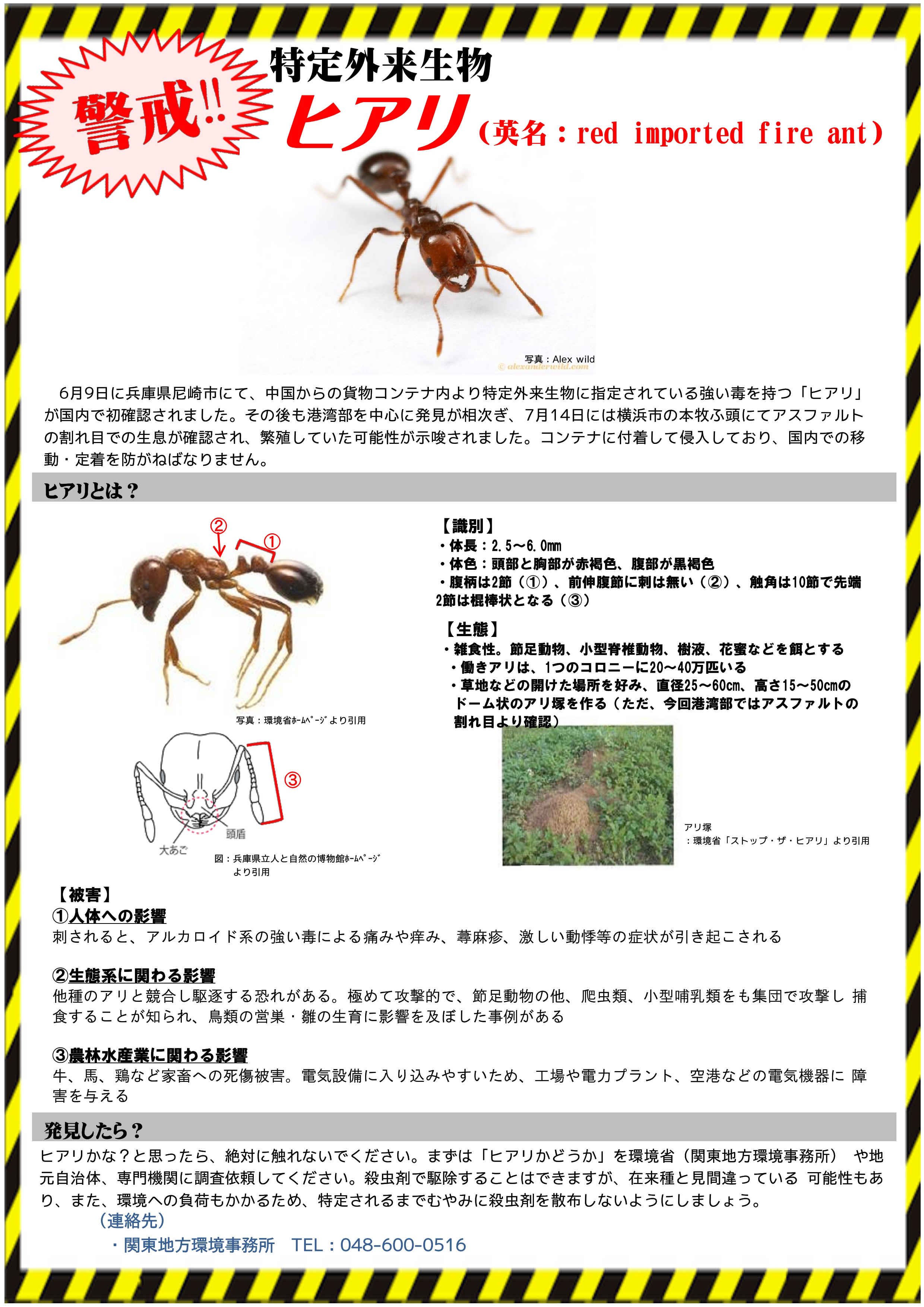 ｗｅｂカタログ 害虫駆除や衛生管理の株式会社環境コントロールセンター