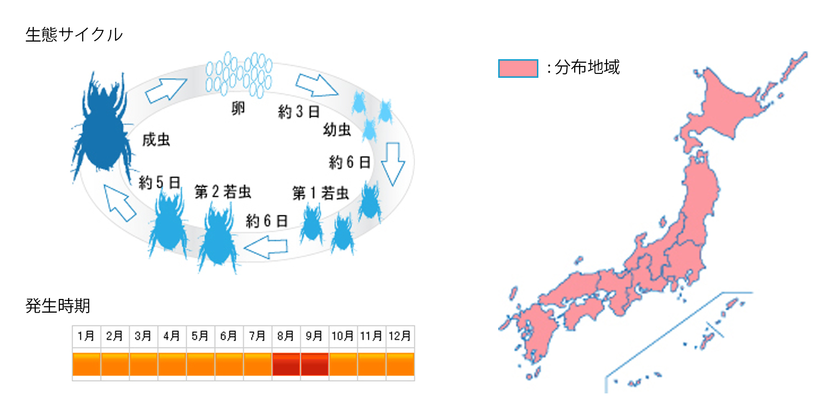 hosotsumedani_cycle.jpg