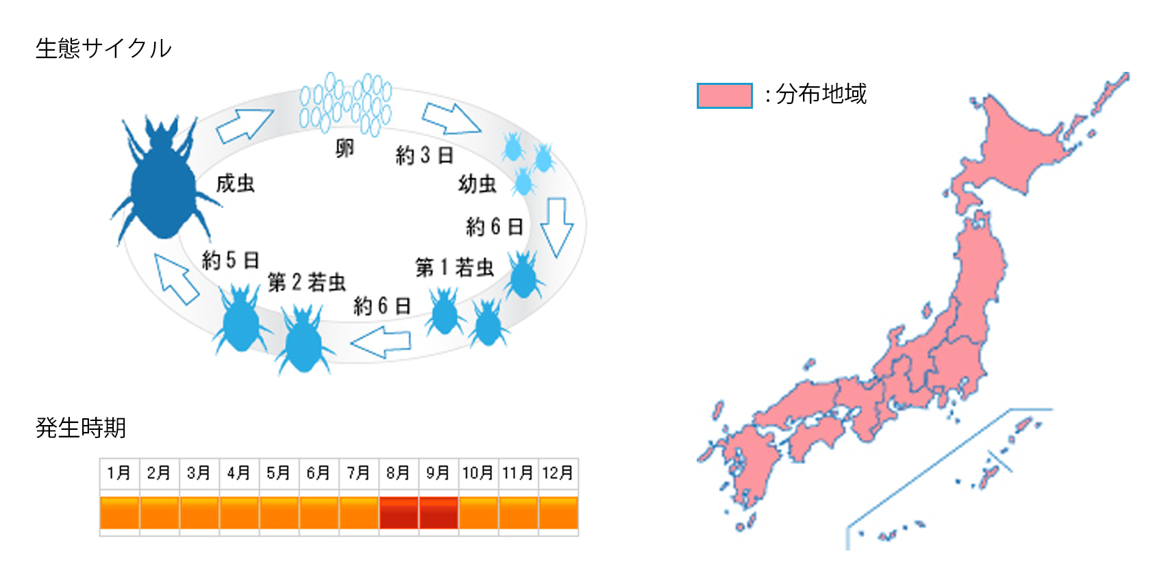 minamitsumedani_cycle.jpg