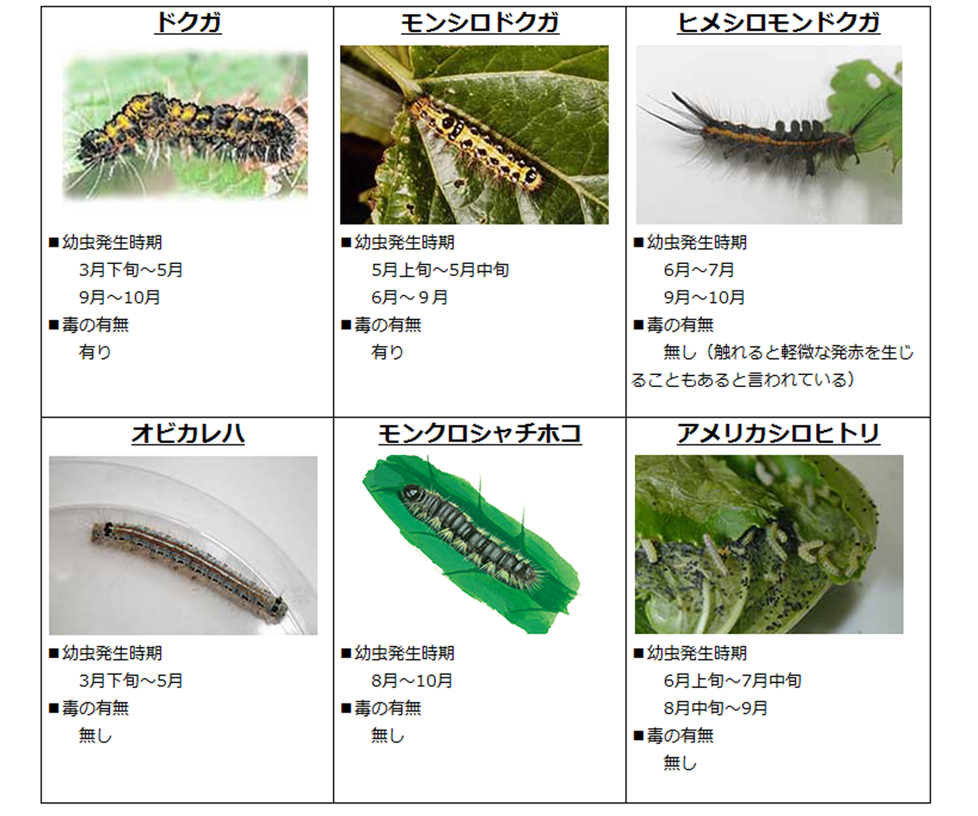 桜を愛でた後は毛虫にご注意を お役立ちコラム