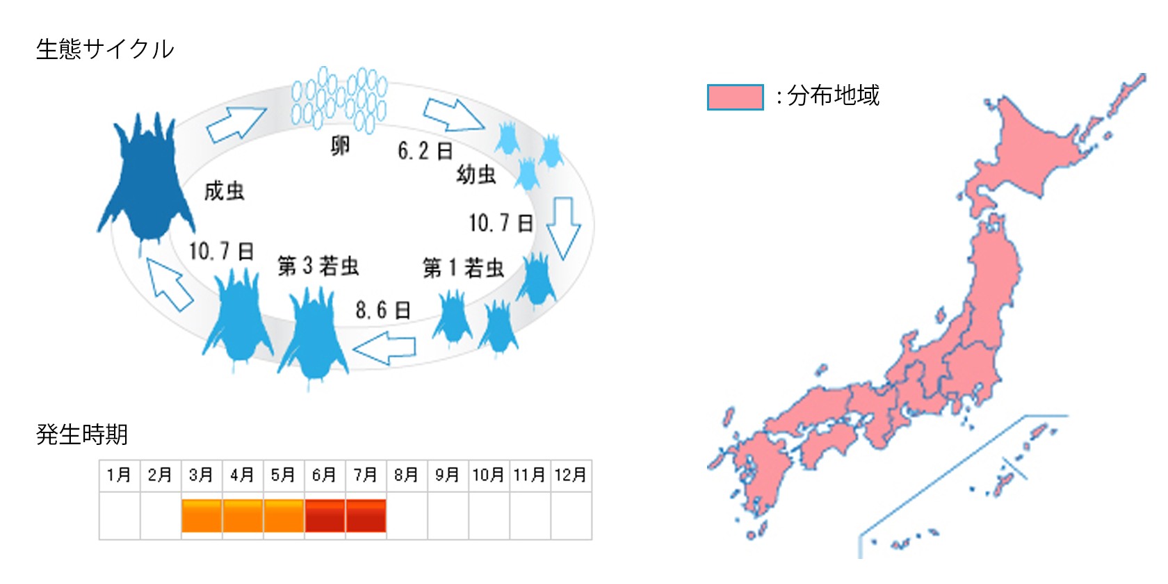 yakehyouhidani_cycle.jpg